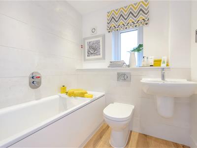 Picture 8
